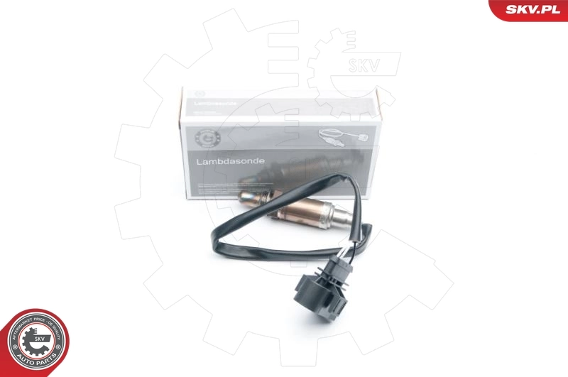 Oxygen Sensor